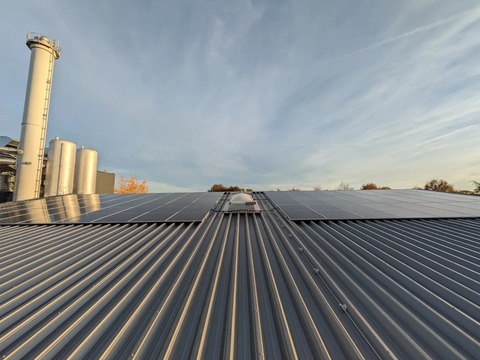 Photovoltaikmodule beidseits einer Lichtkuppel auf einem Hallendach, im Hintergrund Silos und Schornstein